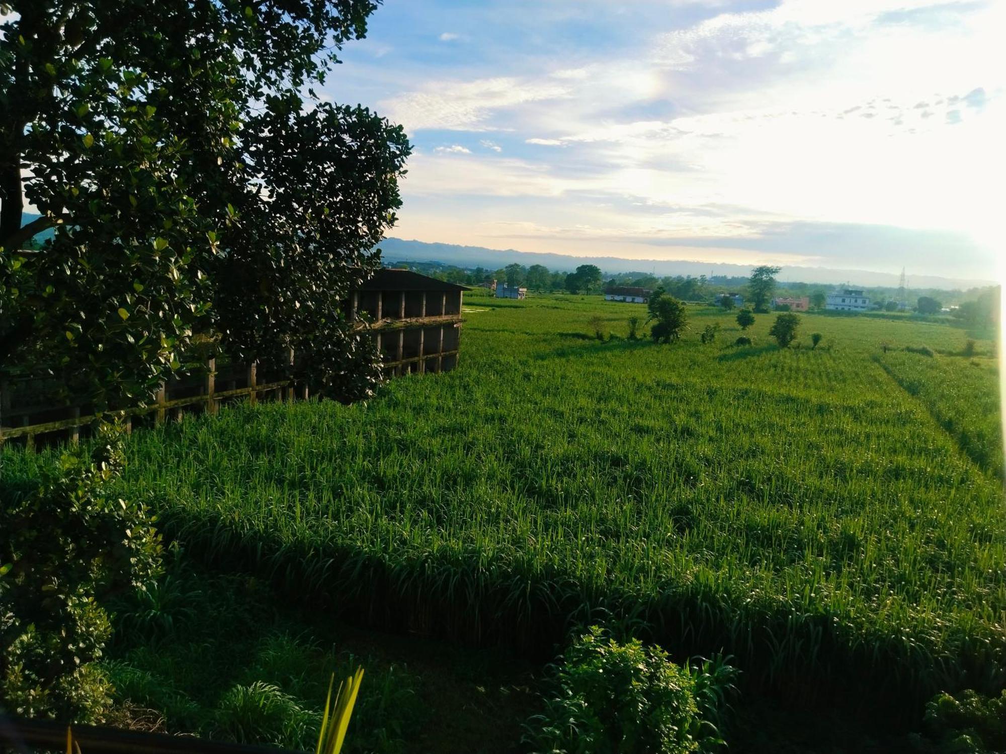 Airport Luxury Nature Homestay- Near Jolly Grant Airport Dehradun Doiwāla المظهر الخارجي الصورة