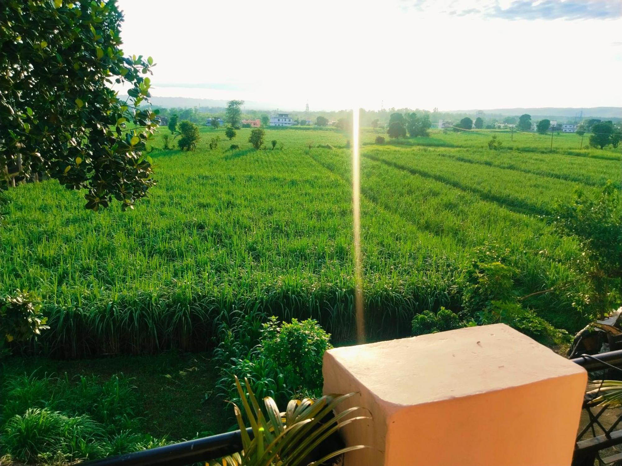 Airport Luxury Nature Homestay- Near Jolly Grant Airport Dehradun Doiwāla المظهر الخارجي الصورة