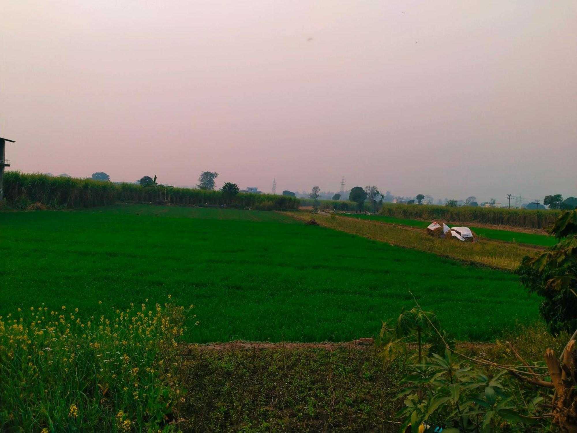 Airport Luxury Nature Homestay- Near Jolly Grant Airport Dehradun Doiwāla المظهر الخارجي الصورة