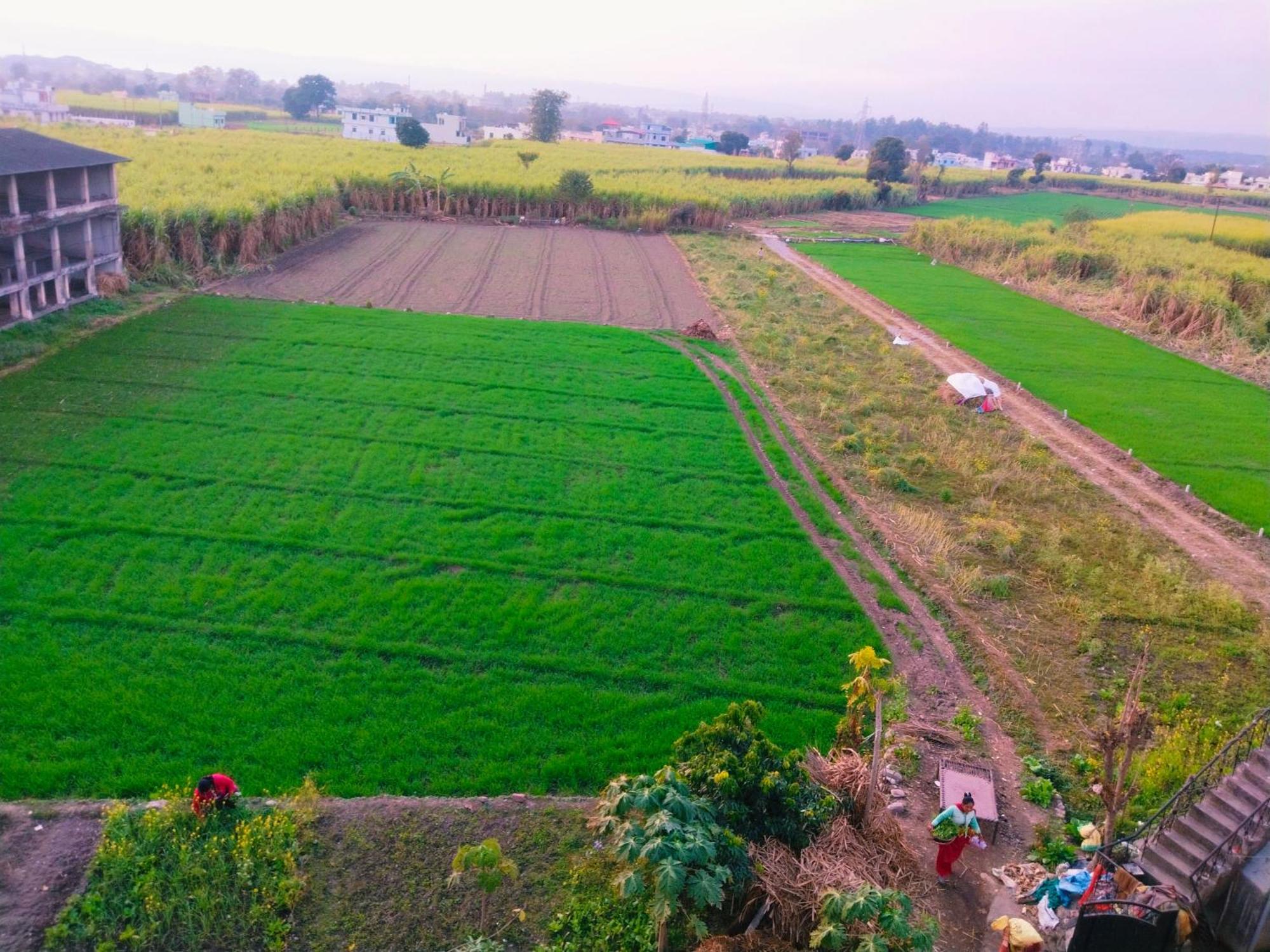 Airport Luxury Nature Homestay- Near Jolly Grant Airport Dehradun Doiwāla المظهر الخارجي الصورة