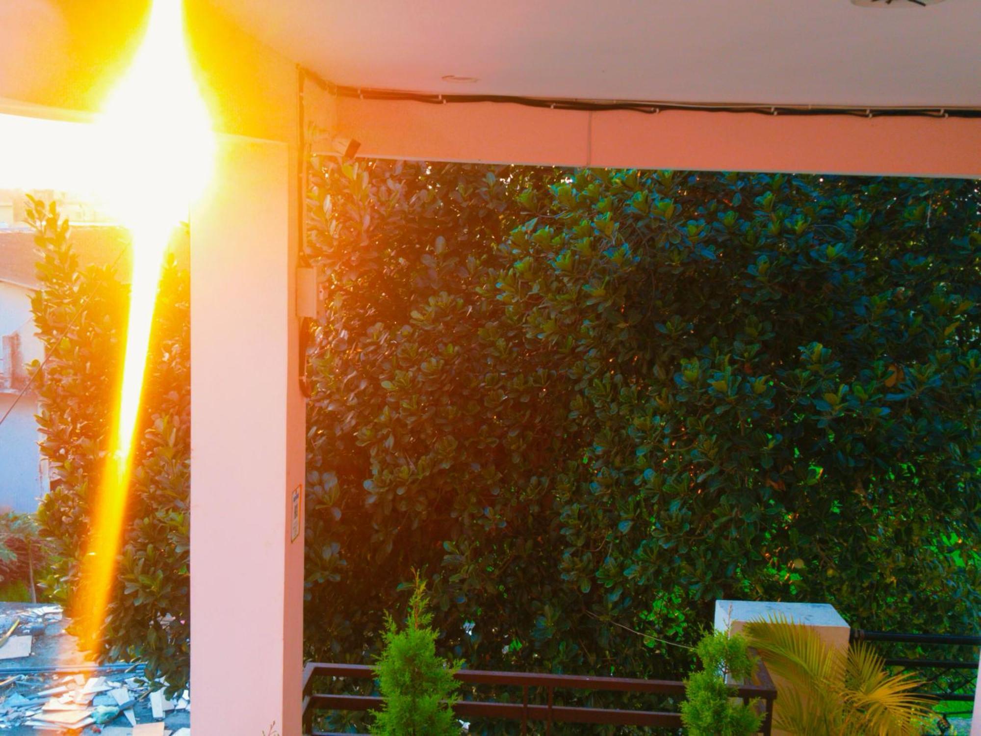 Airport Luxury Nature Homestay- Near Jolly Grant Airport Dehradun Doiwāla المظهر الخارجي الصورة