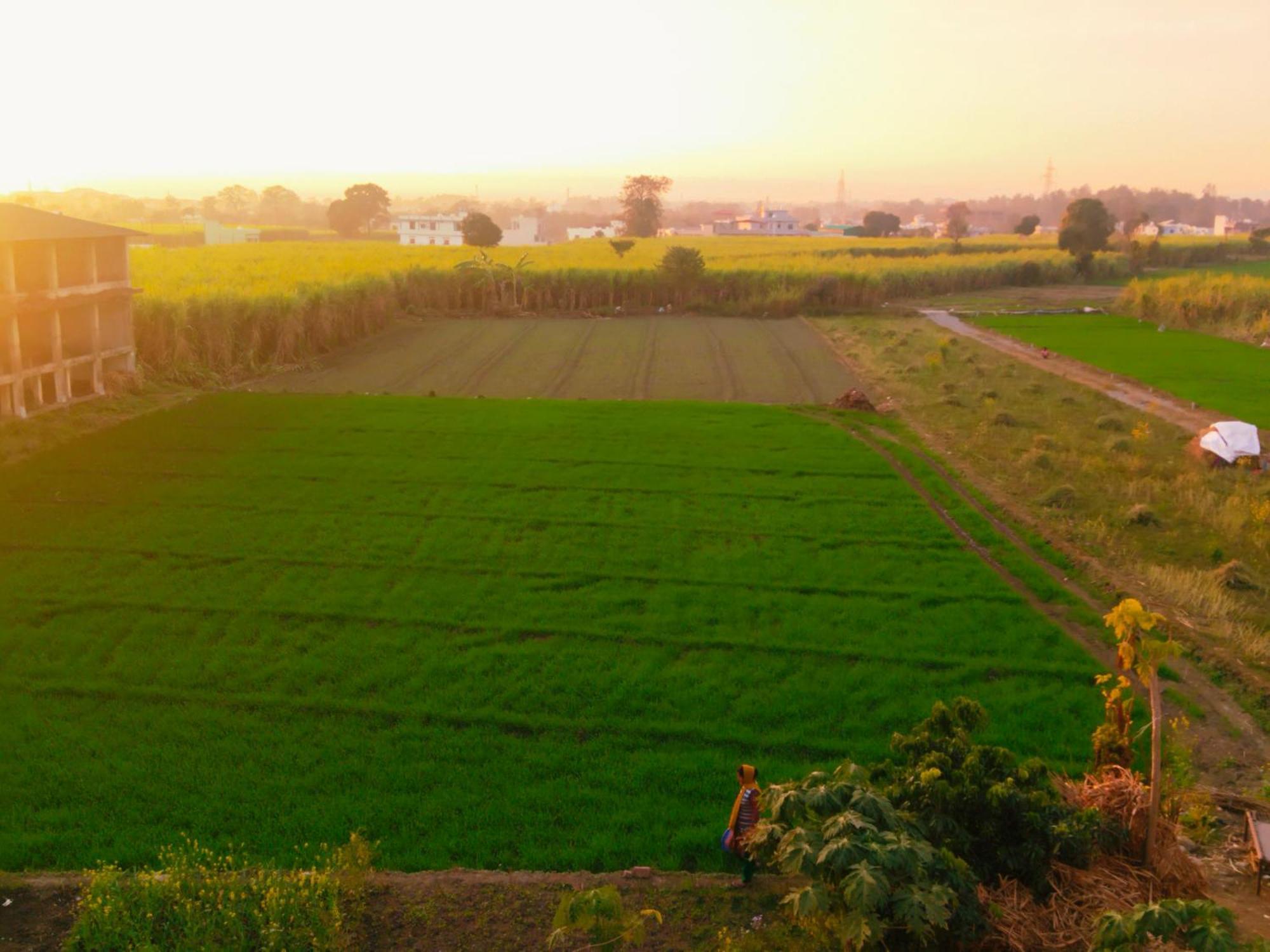 Airport Luxury Nature Homestay- Near Jolly Grant Airport Dehradun Doiwāla المظهر الخارجي الصورة